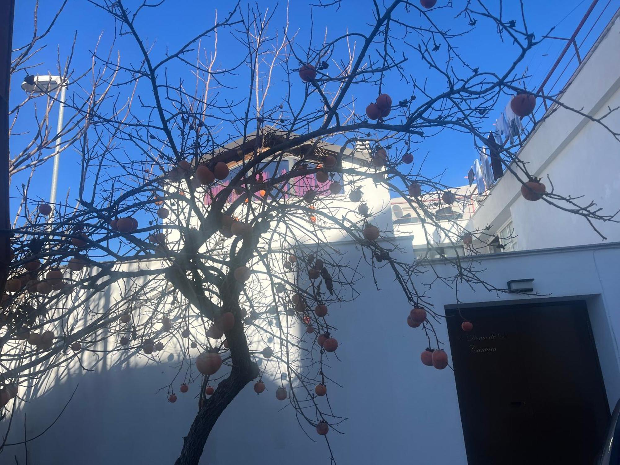 Casa Ziranu Sa Domo E Su Cantaru Orani 外观 照片
